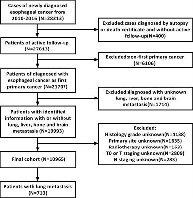 Lung Metastases in Newly Diagnosed Esophageal Cancer: A Population-Based Study